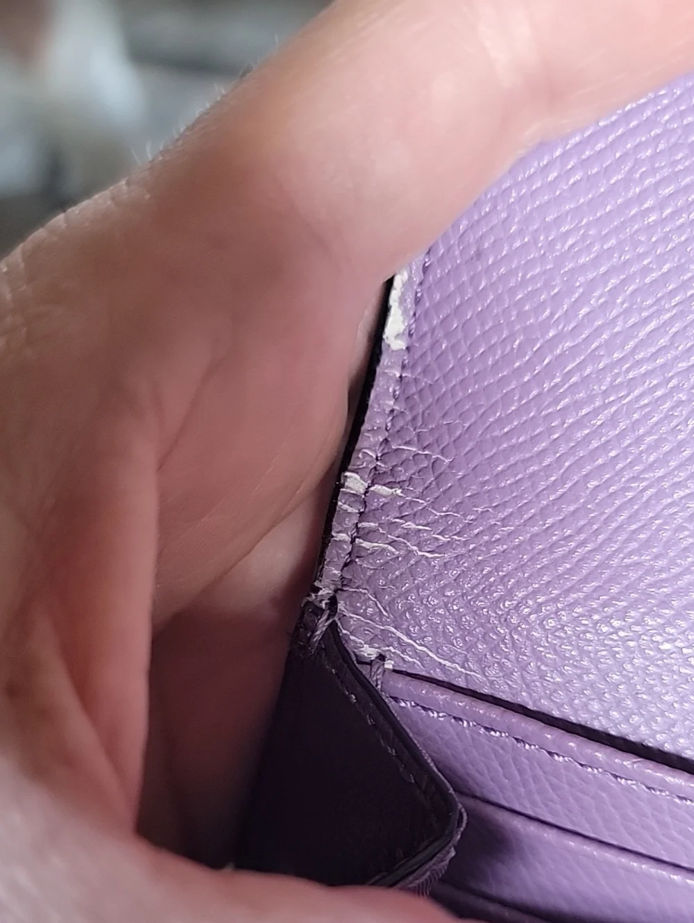 Coach Plum Leather Continental Wallet with Python-Print Envelope Style